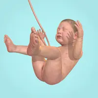 9 Months (МОД Без рекламы)